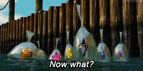 The fishes in mind being like, Now What?